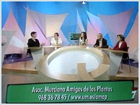 Mesa del programa Qu sabemos? del Canal 7 Regin de Murcia el da 27 de Abril de 2007. Momento de la intervencin, en representacin de la Asociacin, de Gemma Lpez Vlez y Rosa Mara Ros (ambas a la izquierda de la imagen).