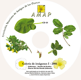 Cartula primer CD de imgenes AMAP (I 2006)