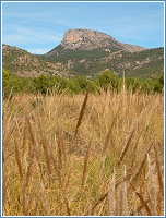 El Morrn de Totana (Sierra Espua) visto desde el espartal del Llano de las Cabras (Aledo)