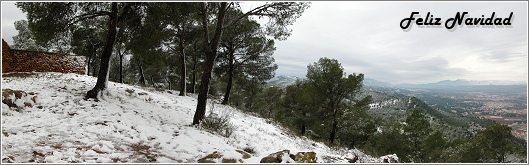 Un lugar nevado de la Cresta del Gallo, el pasado 19 de diciembre de 2009. Foto: Francisco Javier Lpez Espinosa