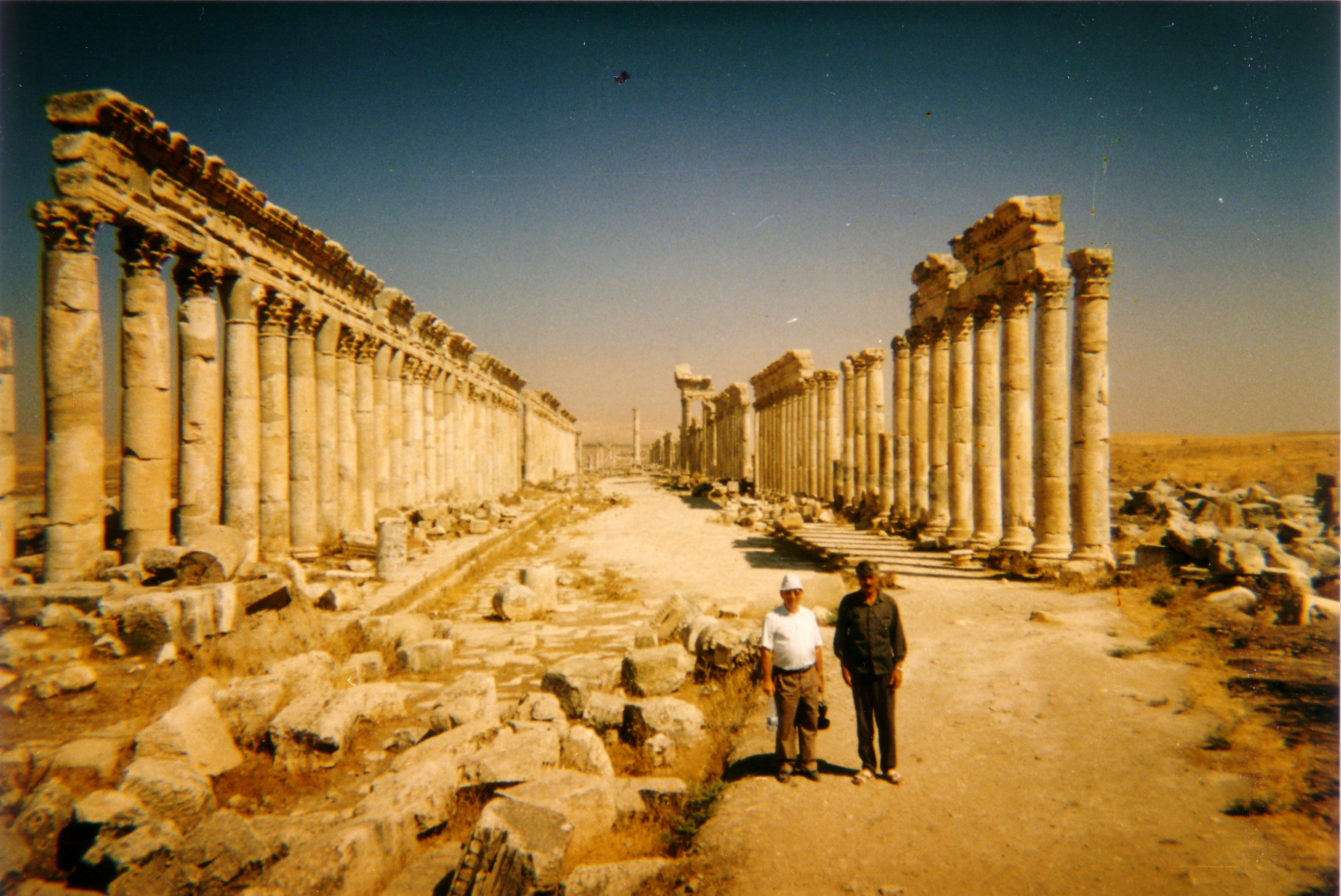 1995 APAMEA