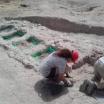 Excavación arqueológica en la villa romana de “LOS VILLARICOS”. Campaña de 2016