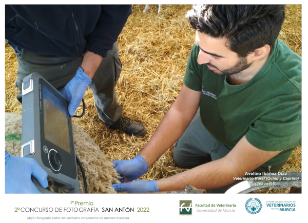 Imagen asociada al enlace con título Segundo premio: Avelino Ibáñez Díaz