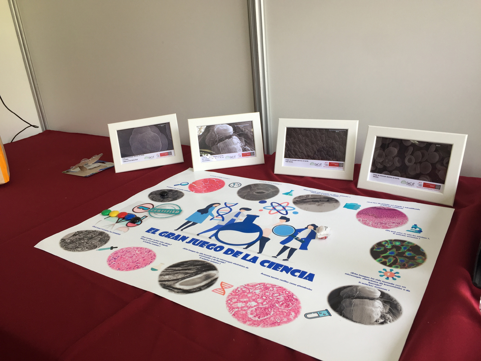 Imagen de carrusel En el Gran Juego de la Ciencia se premio a los ganadores con fotos de microscopía electrónica de barrido.