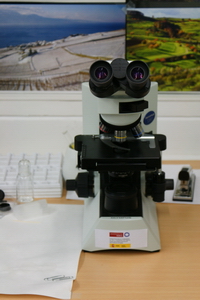 microscopio olimpus