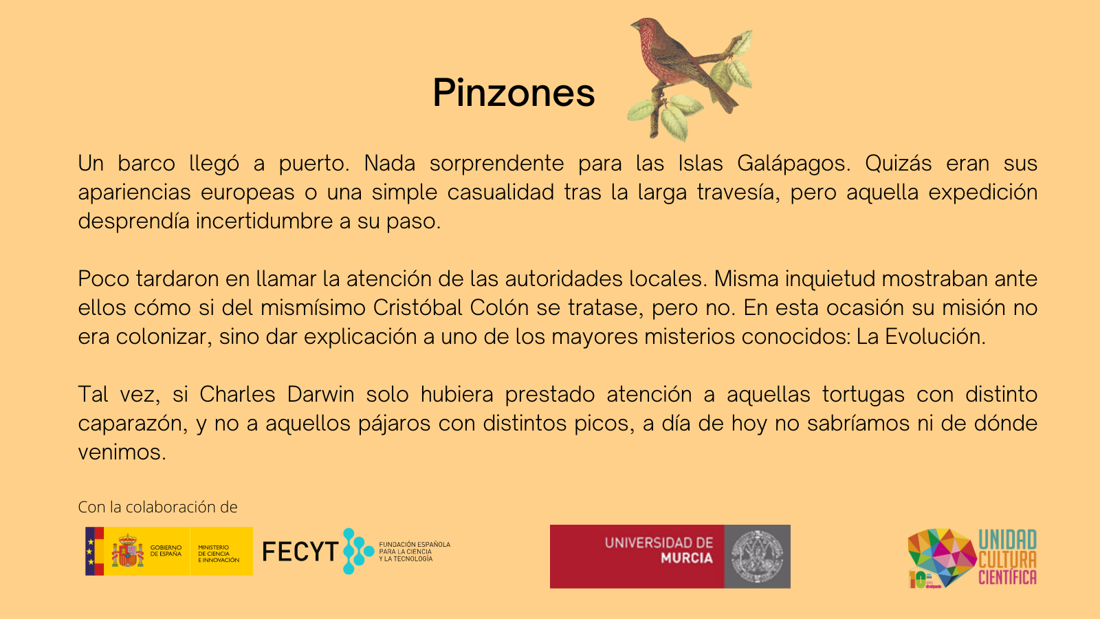 Microrrelato: Pinzones - UCC+I