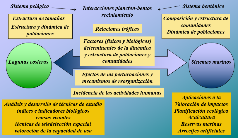 Diagrama estructura y funcionamiento de ecosistemas costeros