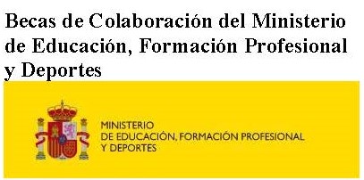 Becas de Colaboración del Ministerio de Educación, Formación Profesional y Deportes