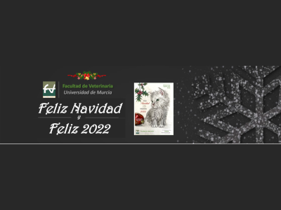 Convocatoria del 5ª Concurso de Dibujo navideño