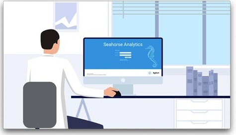Seminario web sobre análisis de datos en el Seahorse (FEDER 2019)
