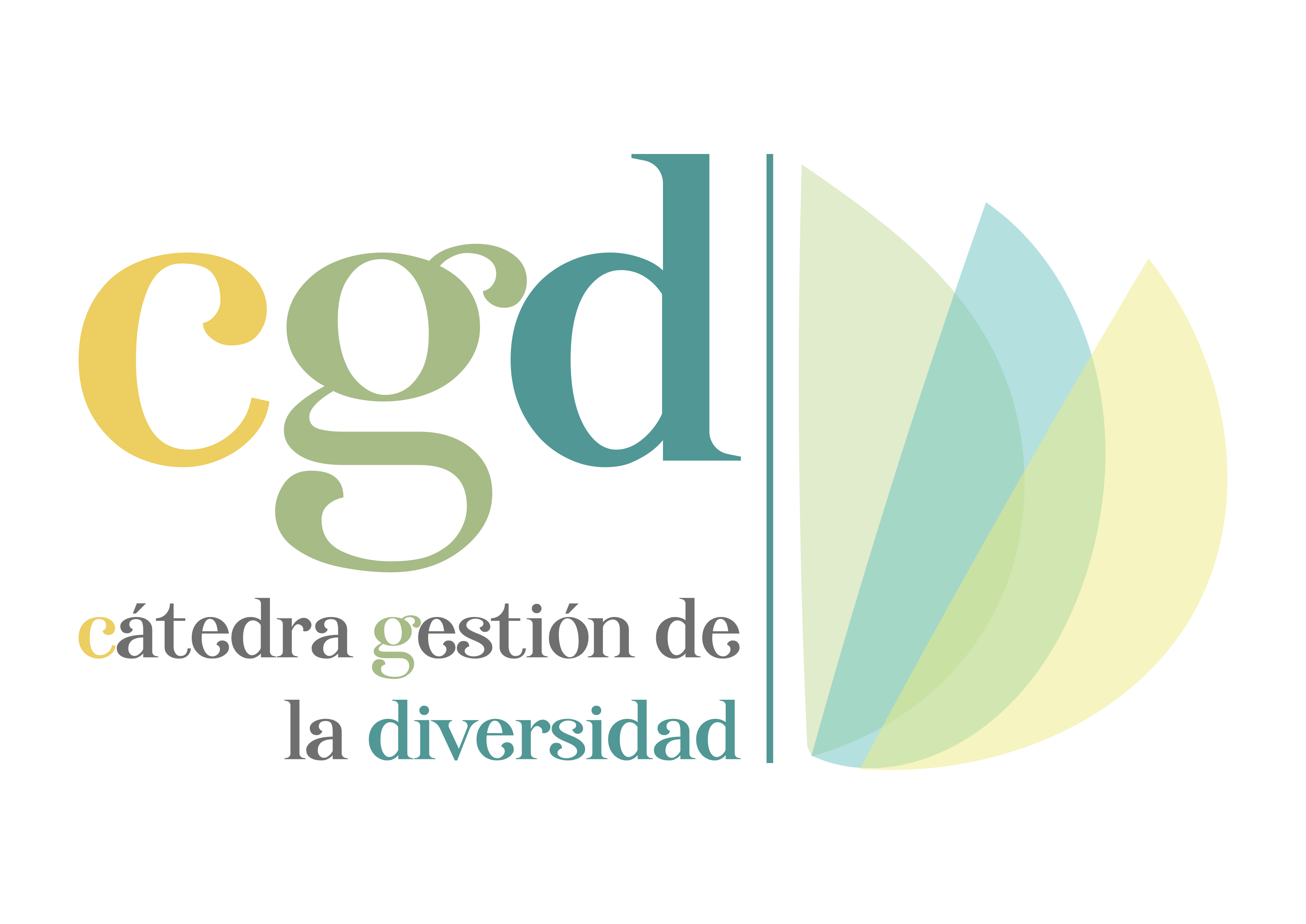 Cátedra de Gestión de la Diversidad