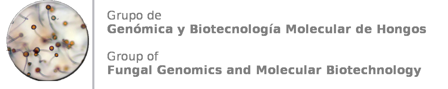 Genómica y Biotecnología Molecular de Hongos