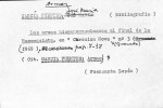 Ficha escaneada con el texto para la entrada armas ( 58 de 58 ) 