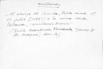 Ficha escaneada con el texto para la entrada auelanes ( 9 de 42 ) 