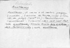 Ficha escaneada con el texto para la entrada auelanes ( 15 de 42 ) 