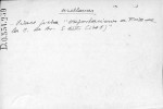 Ficha escaneada con el texto para la entrada auelanes ( 33 de 42 ) 