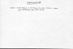 Ficha escaneada con el texto para la entrada carnero ( 103 de 116 ) 