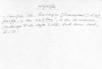 Ficha escaneada con el texto para la entrada alfalfa ( 1 de 5 ) 