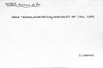 Ficha escaneada con el texto para la entrada alfalfa ( 3 de 5 ) 