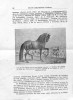Ficha escaneada con el texto para la entrada caballo ( 190 de 264 ) 