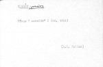 Ficha escaneada con el texto para la entrada cabron ( 29 de 31 ) 