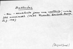 Ficha escaneada con el texto para la entrada ballesta ( 15 de 76 ) 