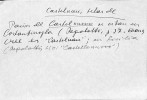 Ficha escaneada con el texto para la entrada castellnau