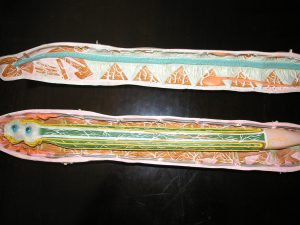 Modelo clástico del gusano de seda.