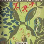Los animales microscópicos