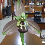 Modelo de la flor de la orquídea.