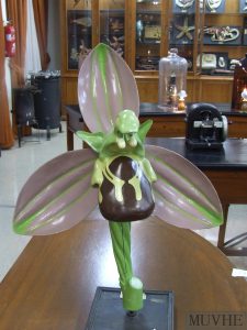 Modelo de la flor de la orquídea.